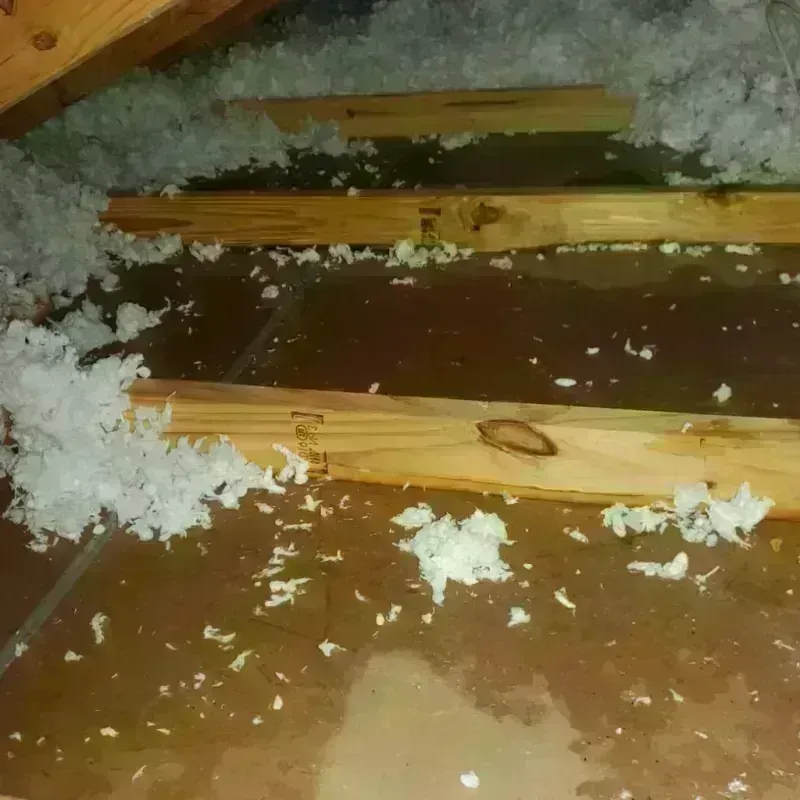 Attic Water Damage in West Haven, OR